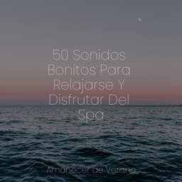 50 Sonidos Bonitos Para Relajarse Y Disfrutar Del Spa - Musica para Bebes