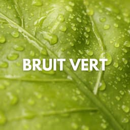 Bruit Vert - Bruit Blanc Silencieux