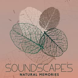 Soundscapes: Natural Memories - Healing Power Natural Sounds Oasis
