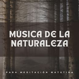 Música De La Naturaleza Para Meditación Matutina - Naturaleza del Himalaya