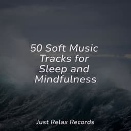 50 Soft Music Tracks for Sleep and Mindfulness - Meditation Spa