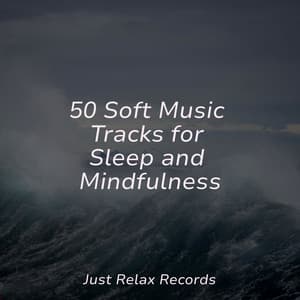 50 Soft Music Tracks for Sleep and Mindfulness - Meditation Spa