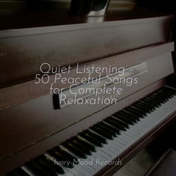 Quiet Listening - 50 Peaceful Songs for Complete Relaxation - Lounge relax
