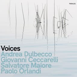 Voices - Giovanni Ceccarelli