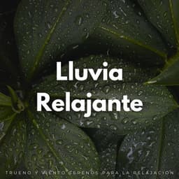 Lluvia Relajante: Trueno Y Viento Serenos Para La Relajación - Phall del trueno