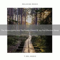 The Noise 430Hz And The Power Chord Of Joy For Effective Sleep - Sleepy Noise