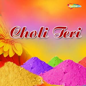 Choli Teri - Kailash Mehta