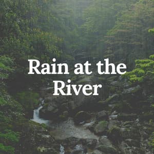 Rain at the River - Rainfall Place
