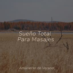 Sueño Total Para Masajes - Meditation