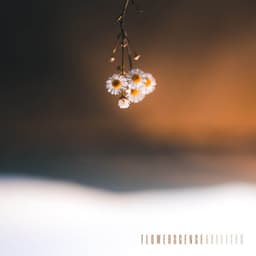 Flowerscence - Axelites