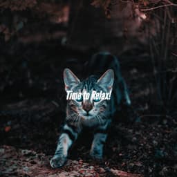 Time to Relax! - Saturday Morning Relaxation Vibes