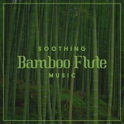 Soothing Bamboo Flute Music - Flute Music Academy