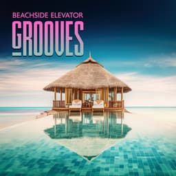 Beachside Elevator Grooves: Summer Hits, Ibiza Vibes, Hotel Lounge Chill - DJ Del Mar