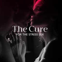 The Cure For The Stress Sex - Pedro EL Loco
