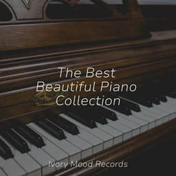 The Best Beautiful Piano Collection - Peaceful Piano