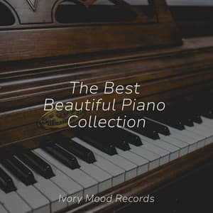 The Best Beautiful Piano Collection - Ivory Mood