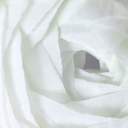 Visionary Piano Works - Alan Hovhaness