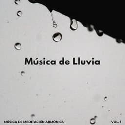 Música De Lluvia: Música De Meditación Armónica Vol. 1 - Meditación de lluvia
