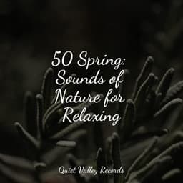 50 Spring: Sounds of Nature for Relaxing - Namaste Yoga
