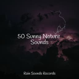 50 Sunny Nature Sounds - PowerThoughts Meditation Club