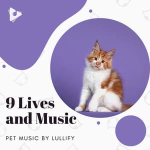 9 Lives and Music - Pet Music by Lullify