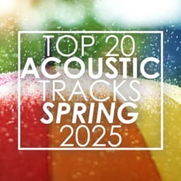 Top 20 Acoustic Tracks Spring 2025 - Guitar Tribute Players