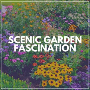 Scenic Garden Fascination - Rain Sounds Nature Collection