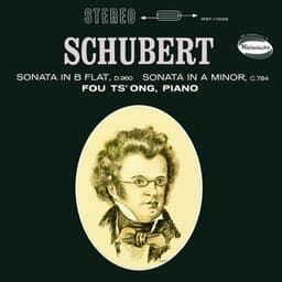 Schubert: Piano Sonata No. 14; Piano Sonata No. 21 - Franz Schubert