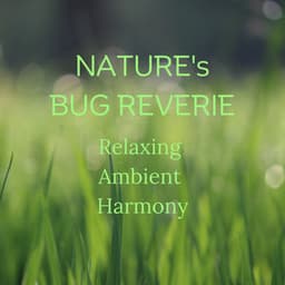 Nature's Bug Reverie: Relaxing Ambient Harmony - Nature TV