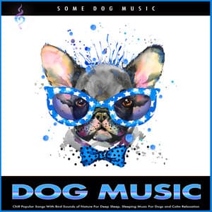 Dog Music: Chill Popular Songs With Bird Sounds of Nature For Deep Sleep, Sleeping Music For Dogs and Calm Relaxation - Some Dog Music