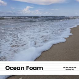 Ocean Foam - Seas of Dreams