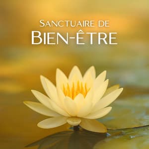 Sanctuaire de Bien-être - Espace détente