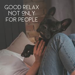 Good Relax Not Only for People – Deep Experience of Total Quiet and Relax with New Age Tones - Natural Soothing Melodies