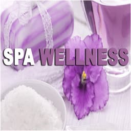 Spa Wellness - Reiki Music