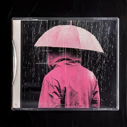 Rain Wet and Wild - 24H Rain Sounds