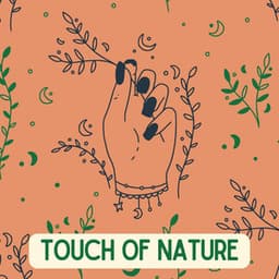 Touch of Nature - The Nature Soundscapes