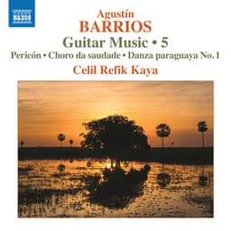 Barrios Mangoré: Guitar Music, Vol. 5 - Agustín Barrios Mangoré