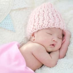 Dreamy Nightfall Ambient: Serenading Baby with Crickets and Forest Soundscape - Forest Crickets