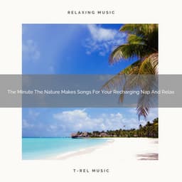The Minute The Nature Makes Songs For Your Recharging Nap And Relax - Zen Sounds