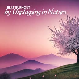 Beat Burnout by Unplugging in Nature - Mindfullness Meditation World