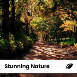 Stunning Nature - Tranquility Spa Universe