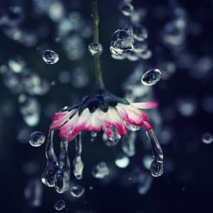 Awakened Atmosphere: Chill Music Rain Energy - Music for Stress Relief