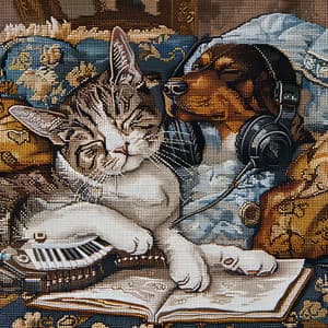 Erstklassiges Haustierparadies - Katzenmusik