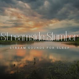 River's Serene Slumber: Stream Sounds for Sleep - River Sound for Sleep