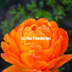 Jazz Vibes & Sunshine Rays - Hotel Lounge Soundtracks