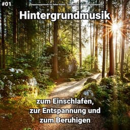 #01 Hintergrundmusik zum Einschlafen, zur Entspannung und zum Beruhigen - Schlafmusik