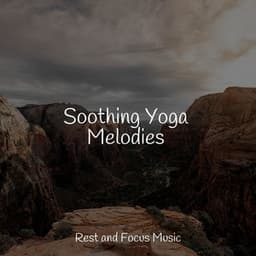 Soothing Yoga Melodies - Classical Study Music