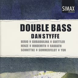 Double Bass - Dan Styffe