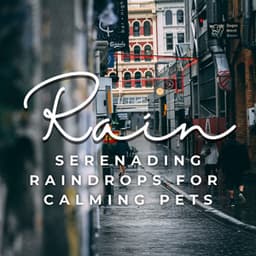 Serenading Raindrops: Serene Rain Sounds for Calming Pets - Heavy Rain Sounds