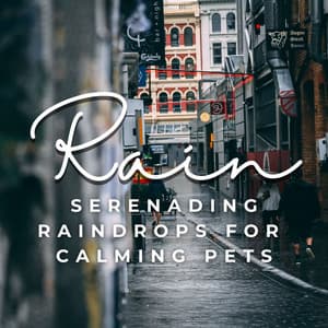 Serenading Raindrops: Serene Rain Sounds for Calming Pets - Heavy Rain Sounds